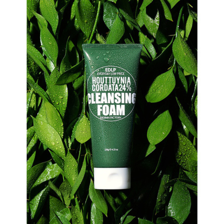 Derma Factory Пенка очищающая с экстрактом хауттюйнии - Houttuynia cordata 24% cleansing foam,120г